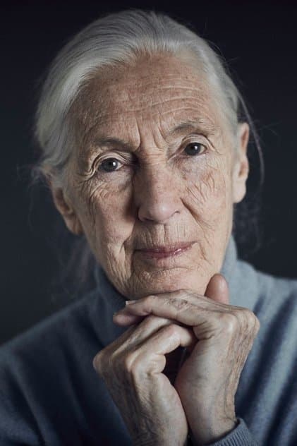 Actor Jane Goodall