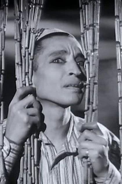 Actor Mounir ElFangary