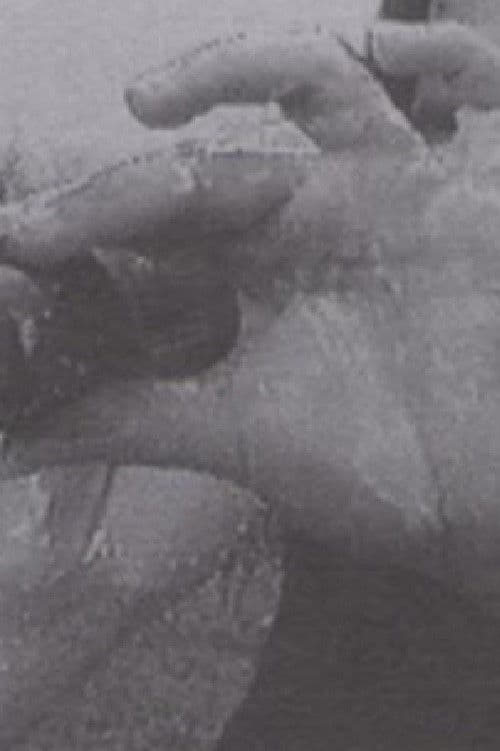 Poster backdrop for Luna 10 (The Butterfly Effect of Geography)