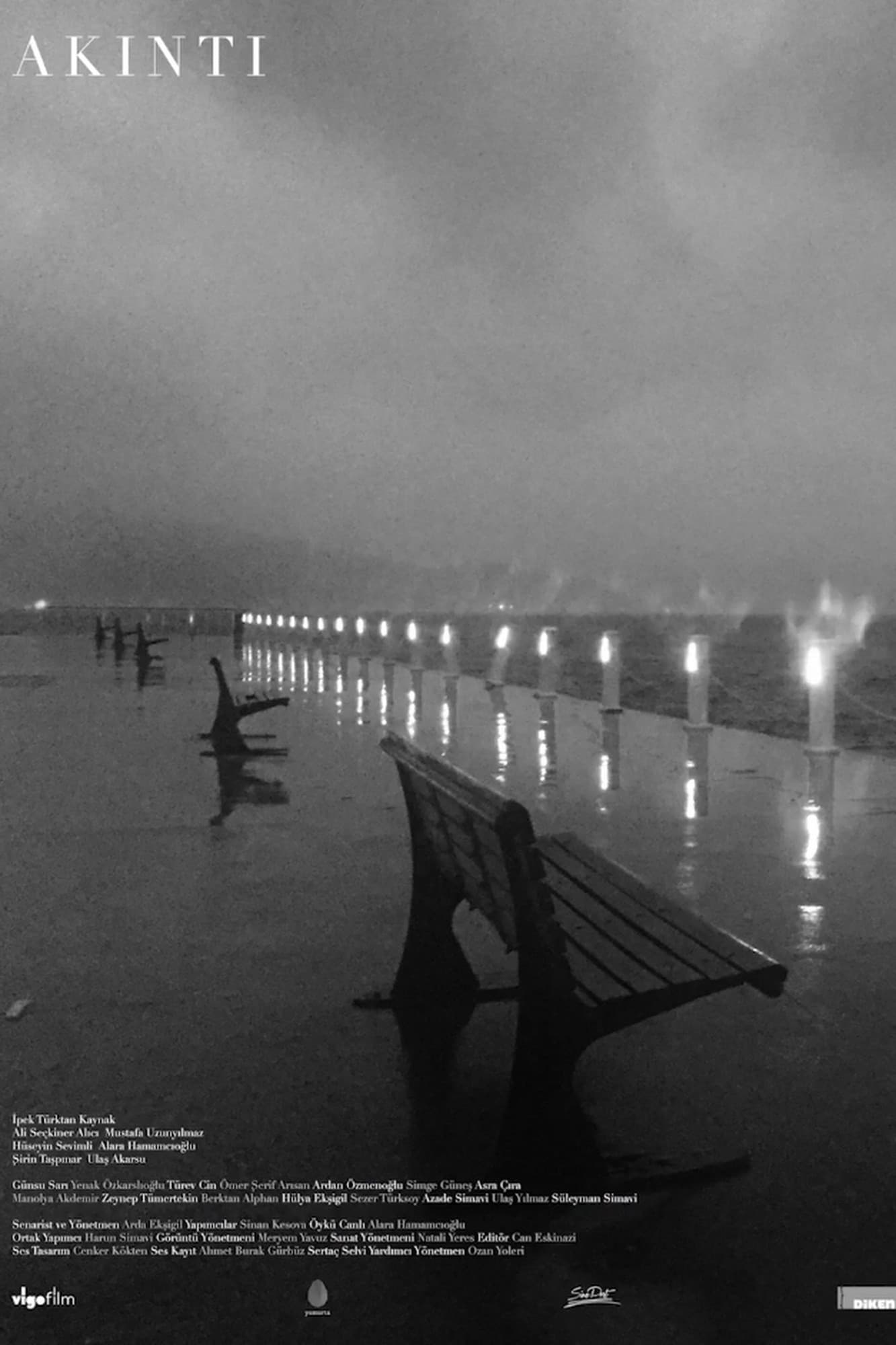 Poster backdrop for The Diamond Sea