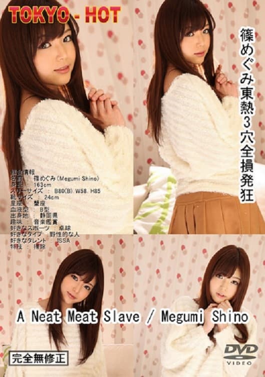 Poster backdrop for Megumi Shino “A Neat Meat Slave”