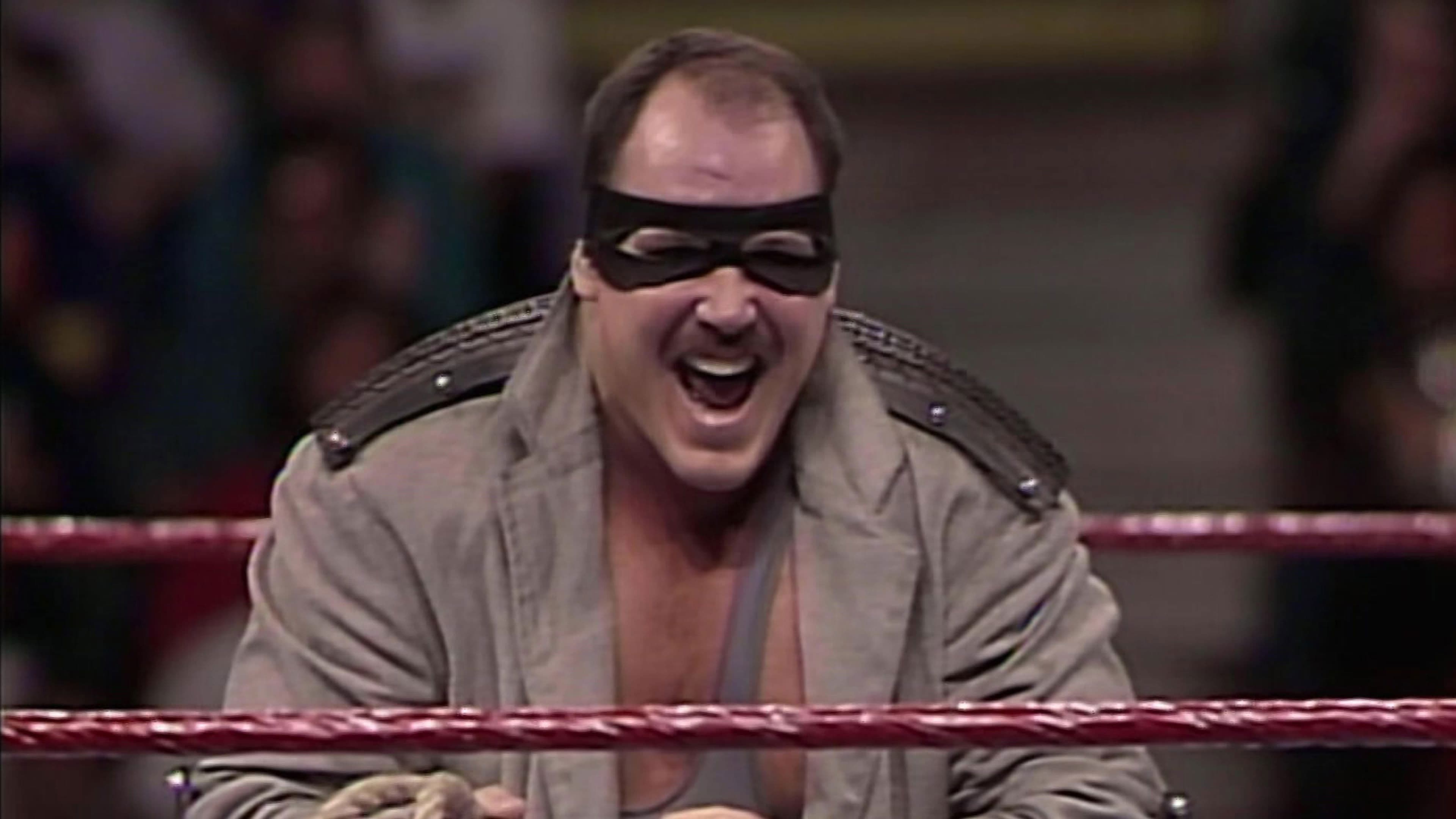 Poster backdrop for WWE WrestleFest '93