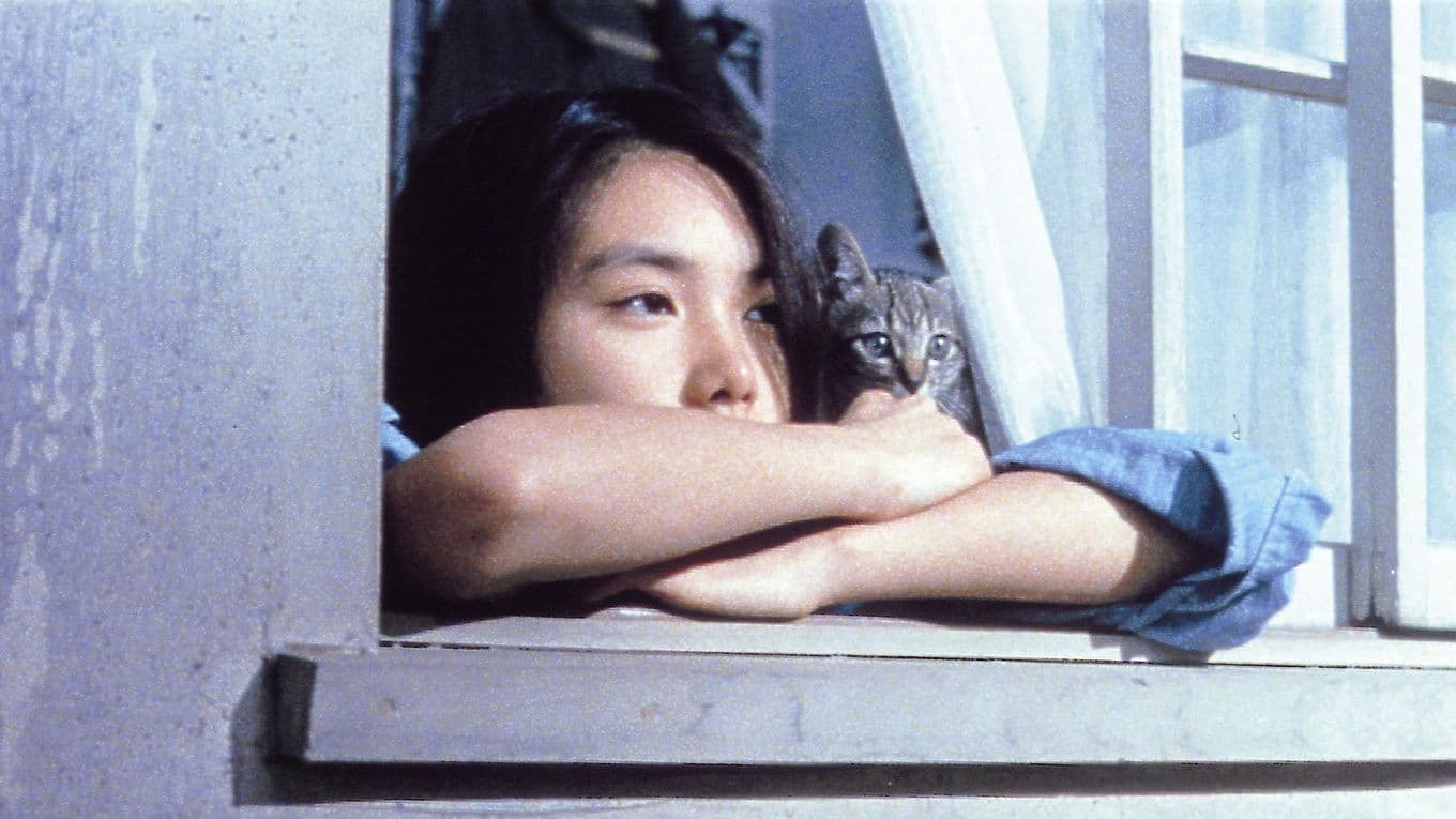 Poster backdrop for Play it, Boogie-Woogie