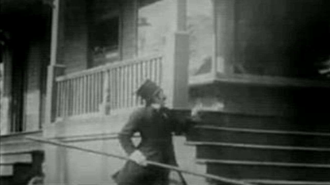 Poster backdrop for The Curtain Pole