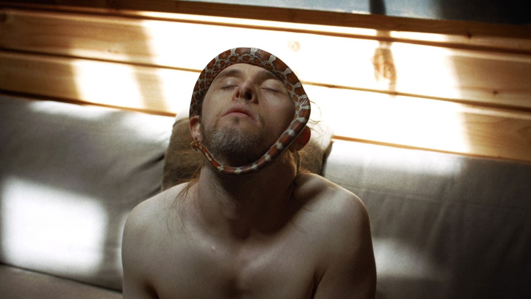 Poster backdrop for Theo and the Metamorphosis