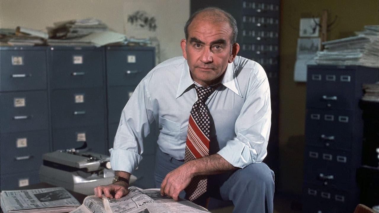 Poster backdrop for Lou Grant