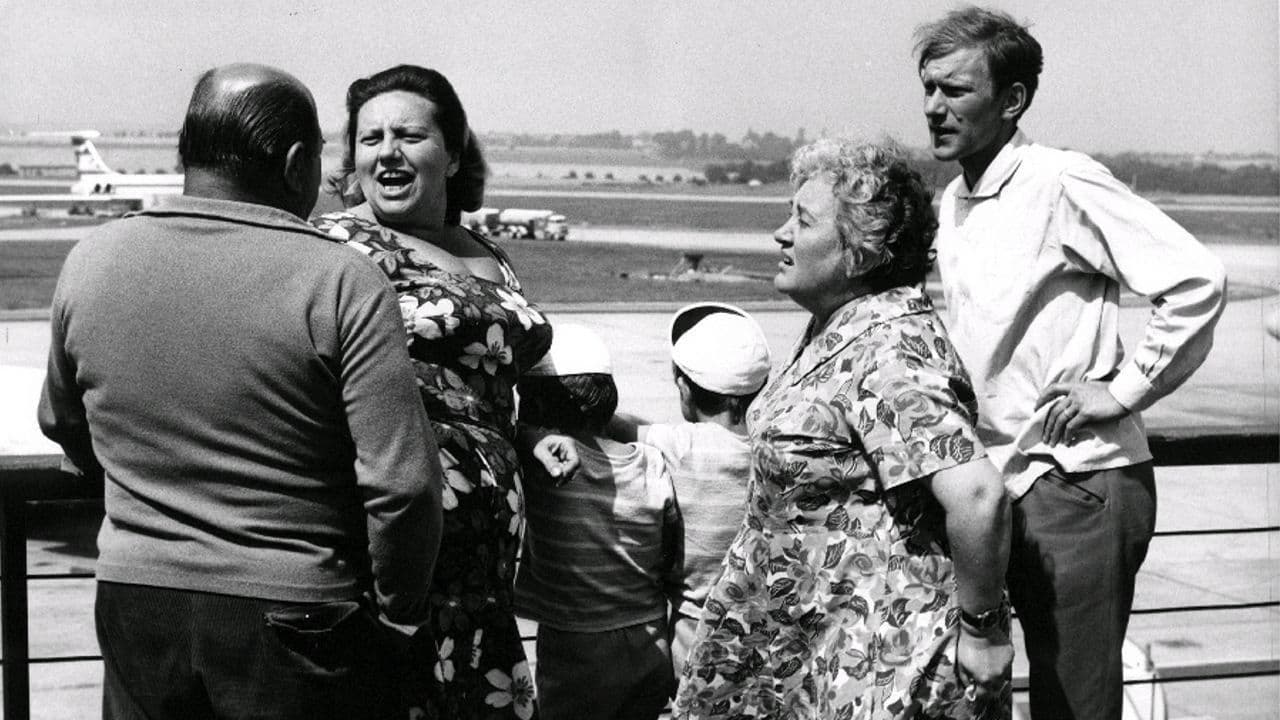 Poster backdrop for Hogo Fogo Homolka