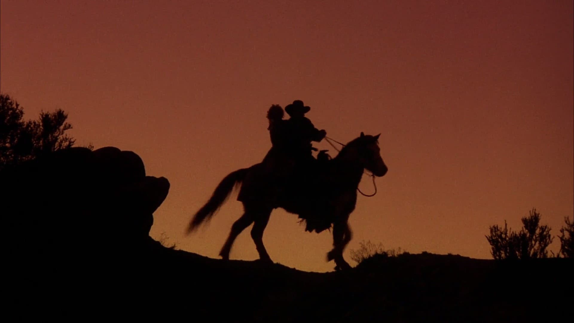 Poster backdrop for The Shooter