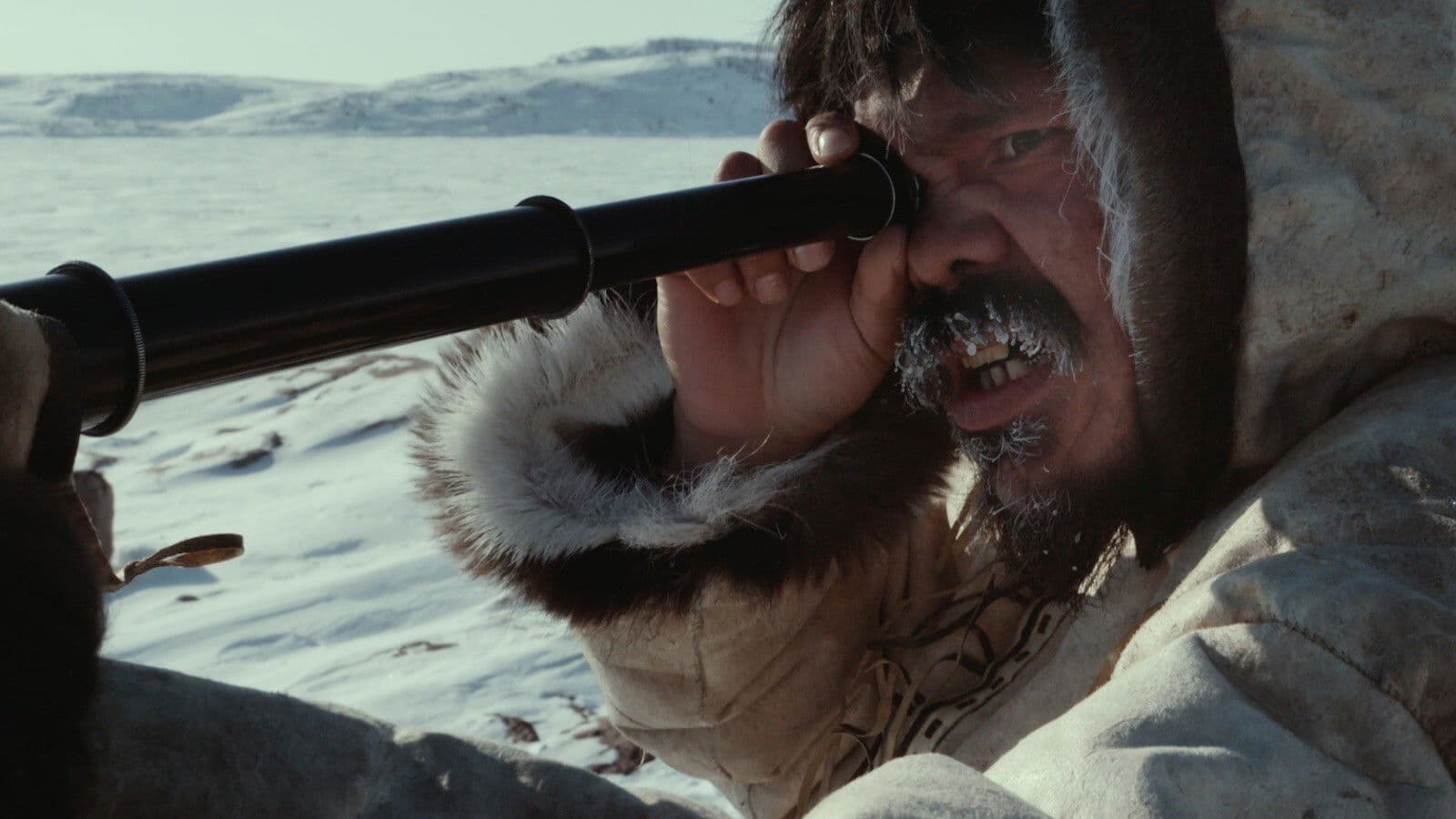 Poster backdrop for Searchers