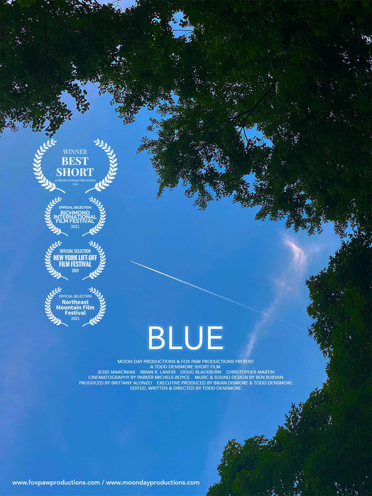 Poster backdrop for Blue
