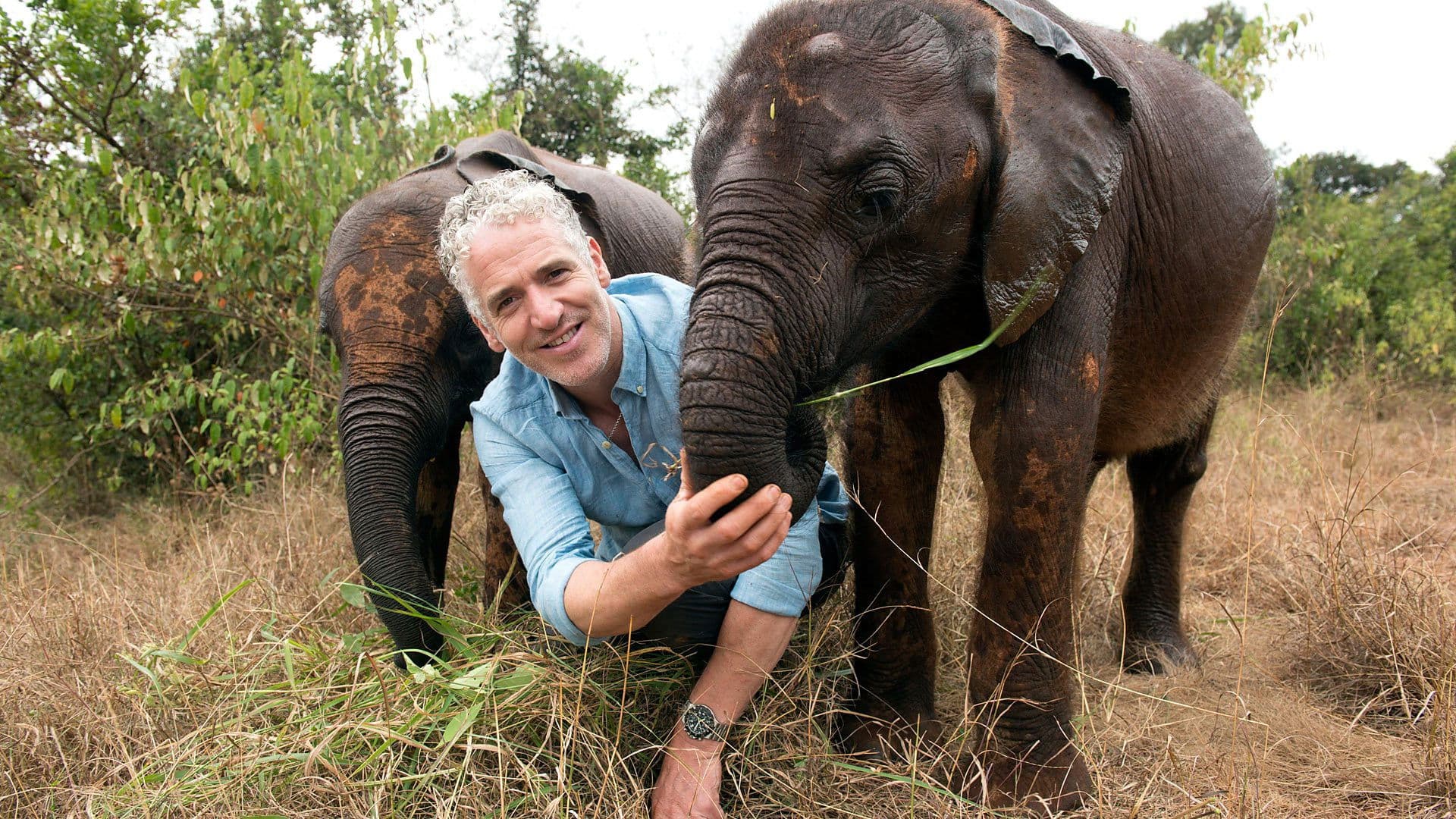 Poster backdrop for Gordon Buchanan: Elephant Family & Me