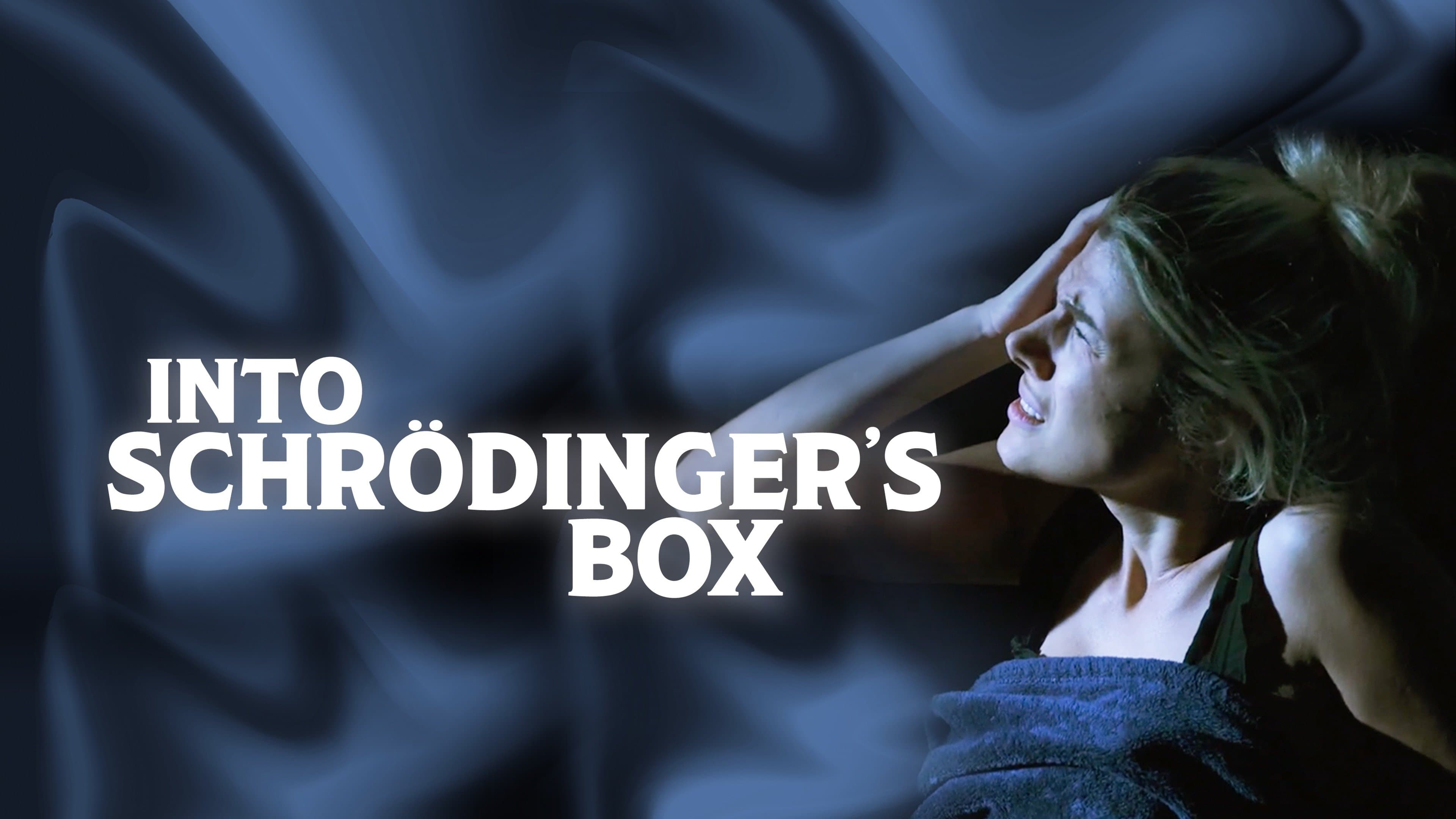 Poster backdrop for Into Schrodinger's Box