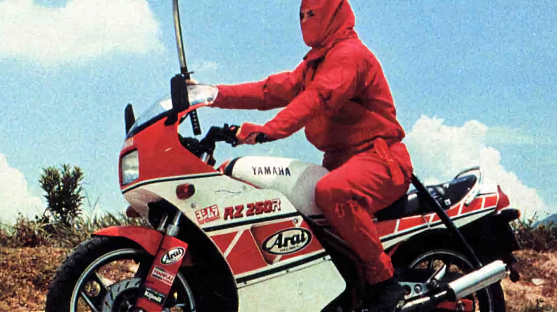 Poster backdrop for Ninja the Protector