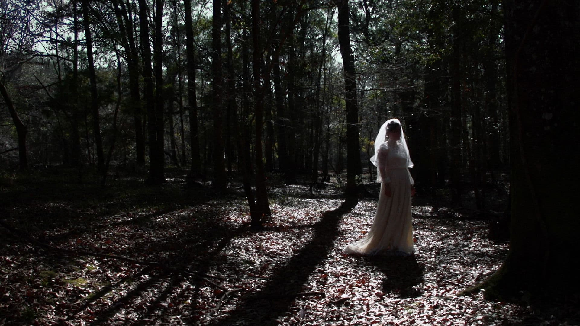 Poster backdrop for Spirits in the Storm