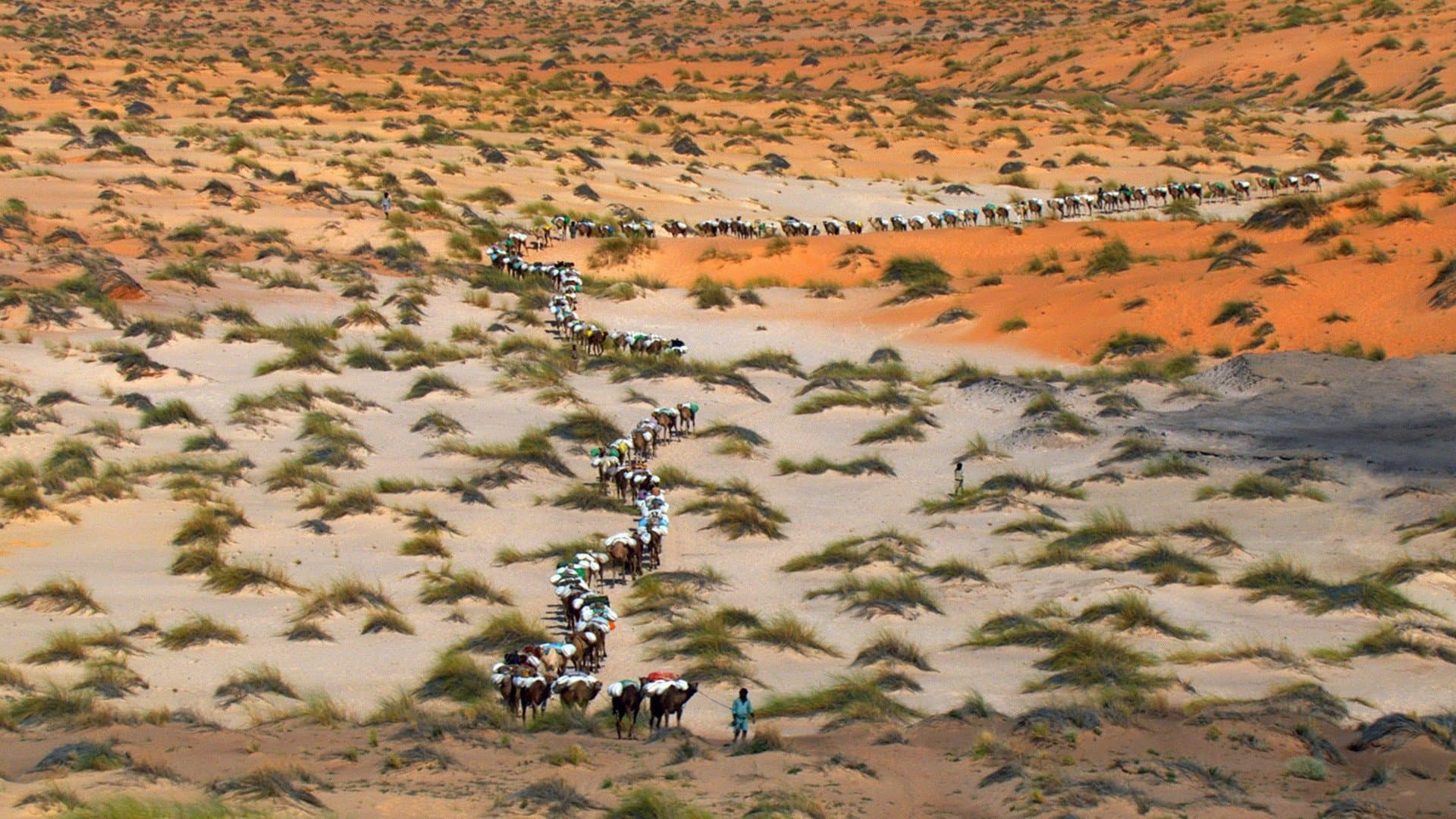 Poster backdrop for Home