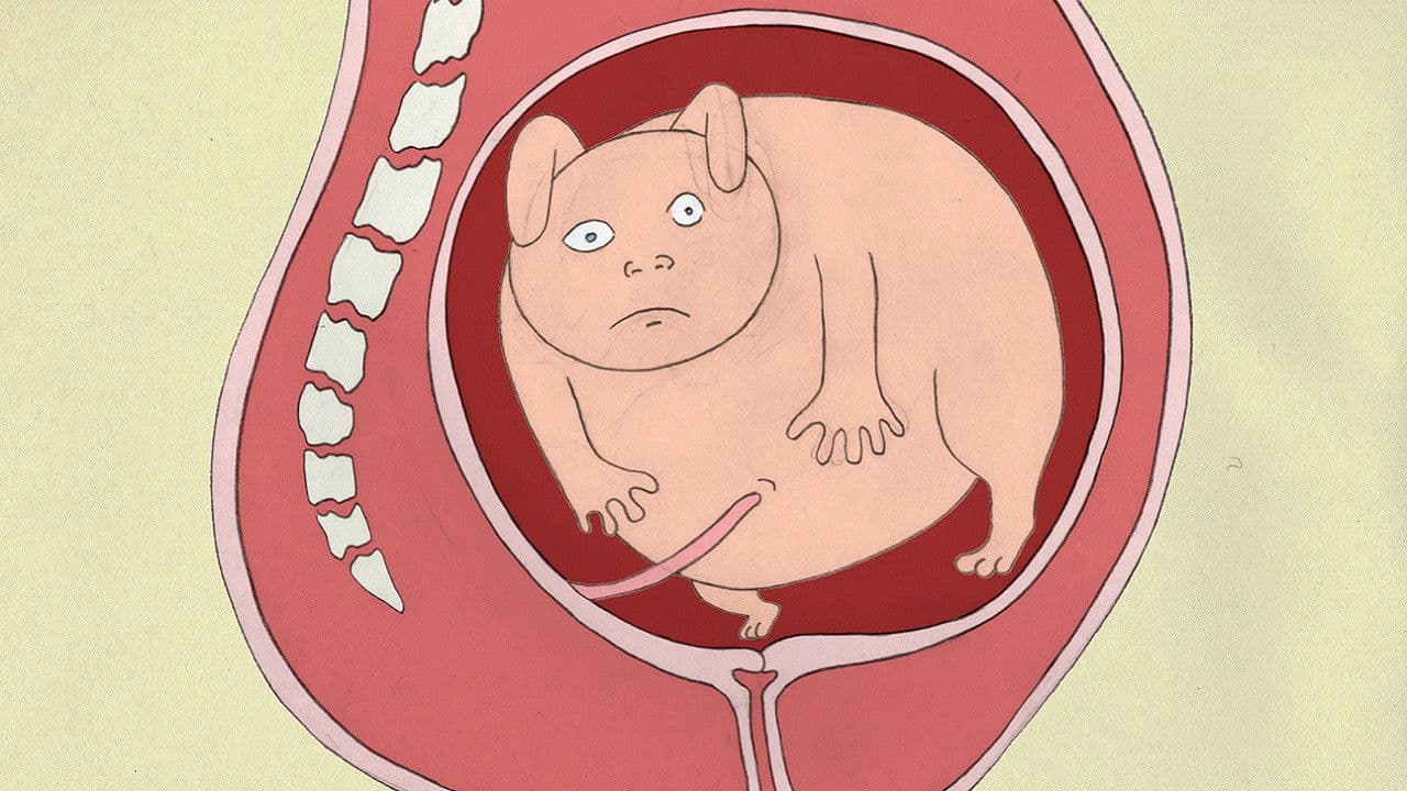 Poster backdrop for Birth