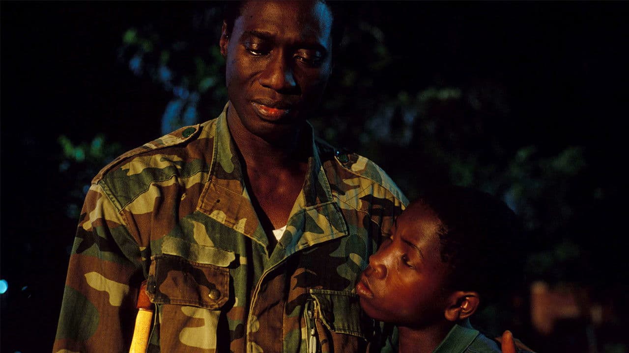 Poster backdrop for The Hero