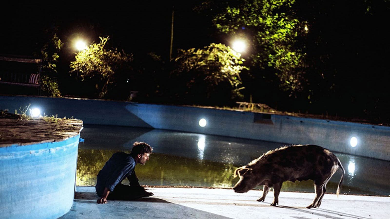 Poster backdrop for La chancha