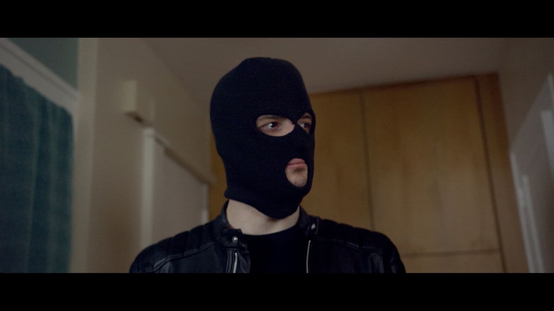 Poster backdrop for Lou