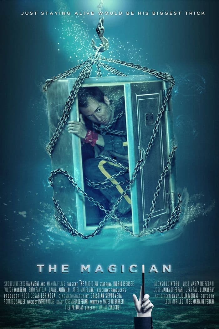 Poster backdrop for The Magician