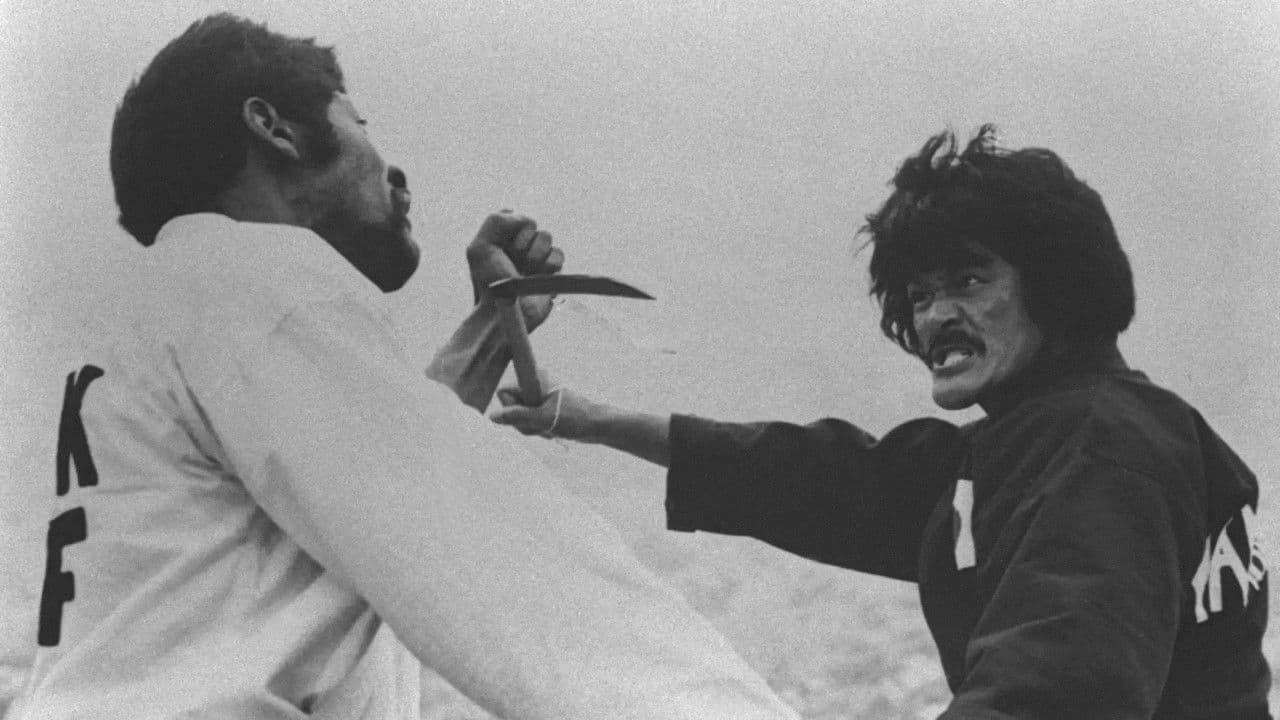 Poster backdrop for The Karate 3