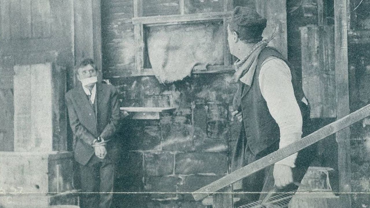 Poster backdrop for The Ferrets