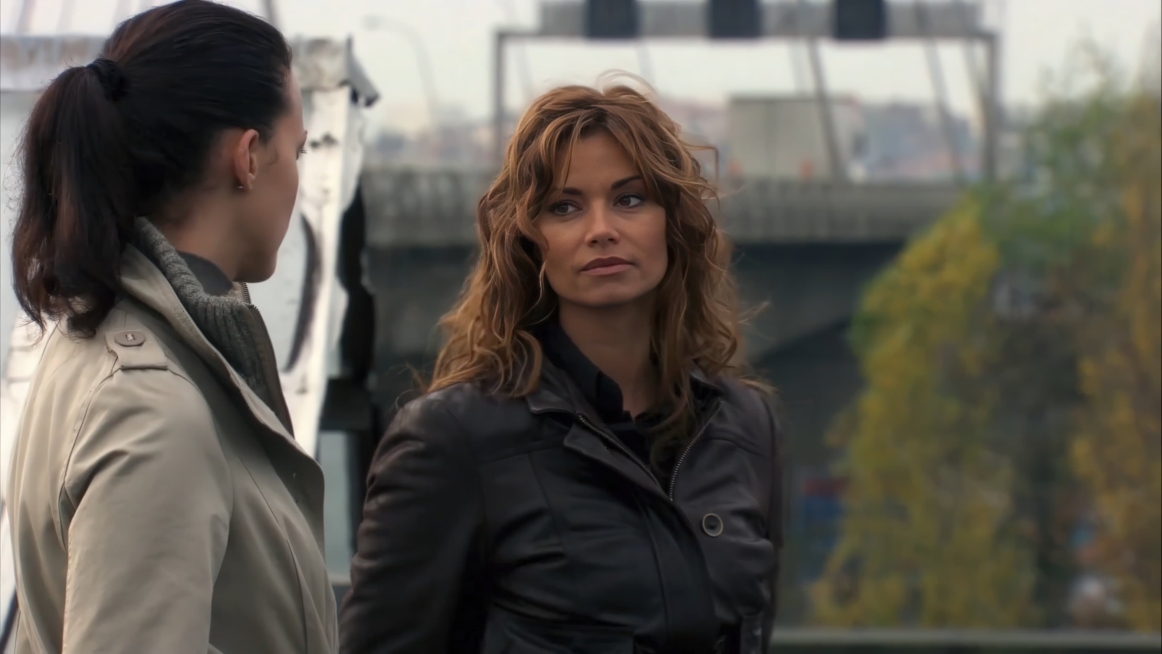 Poster backdrop for The Mole