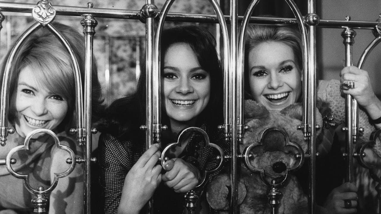 Poster backdrop for The Pleasure Girls