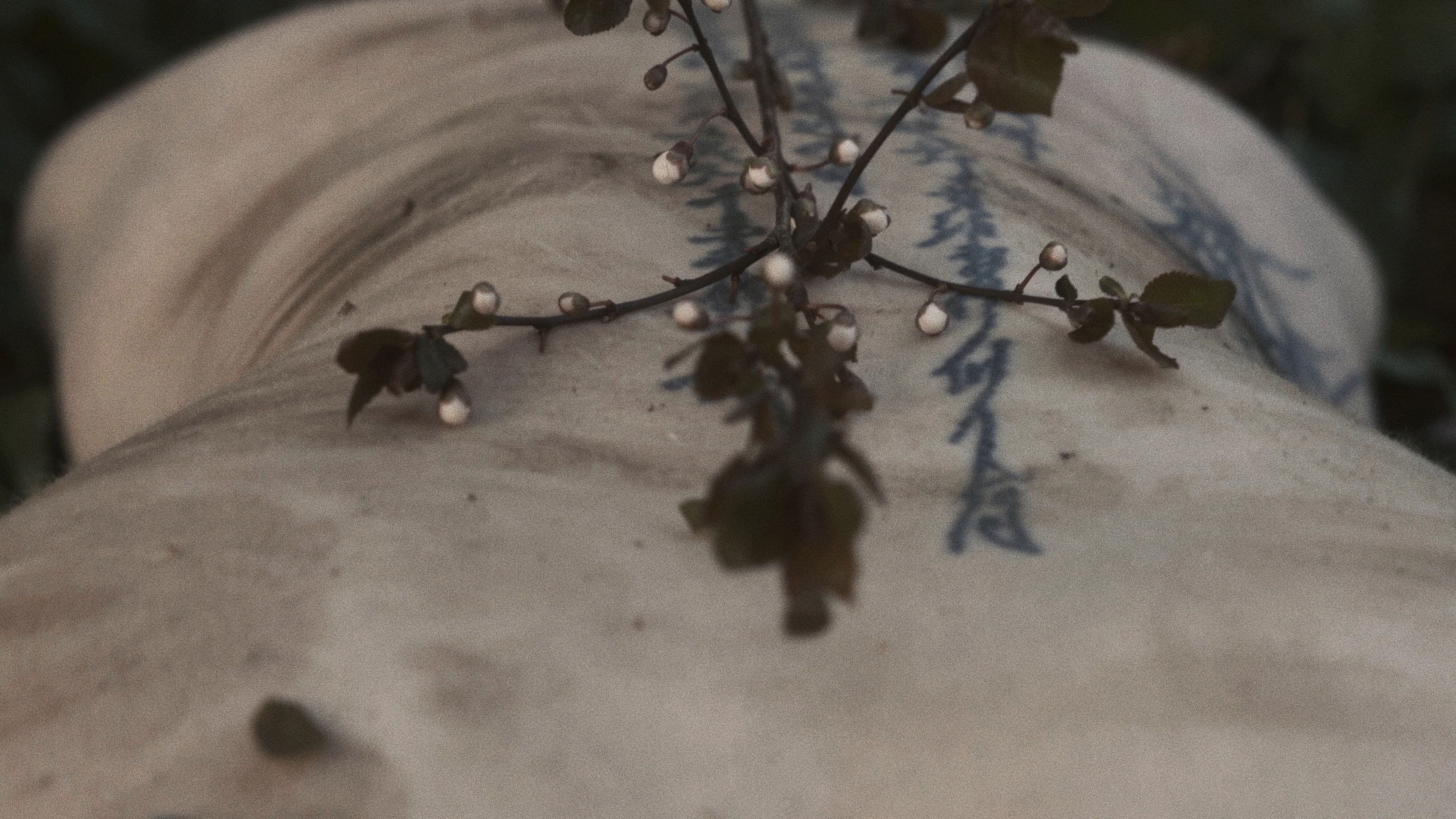 Poster backdrop for Rites of Spring