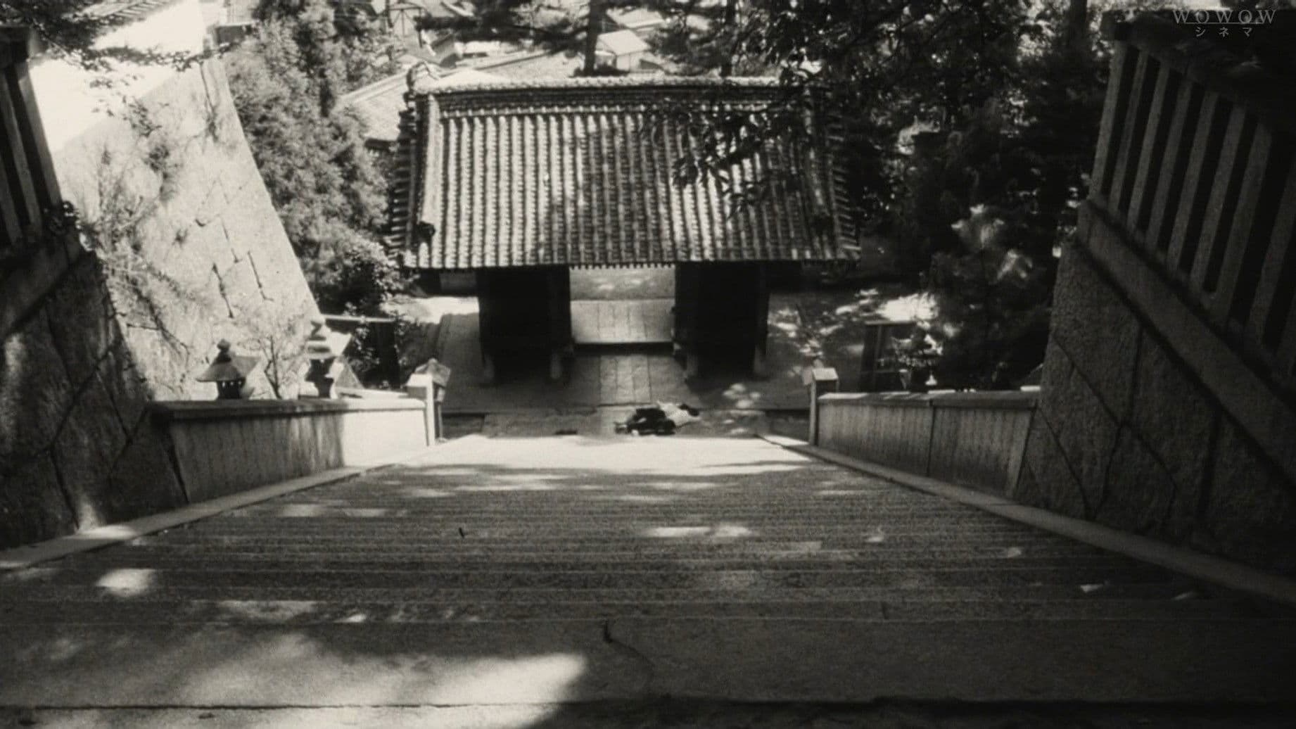 Poster backdrop for I Are You, You Am Me