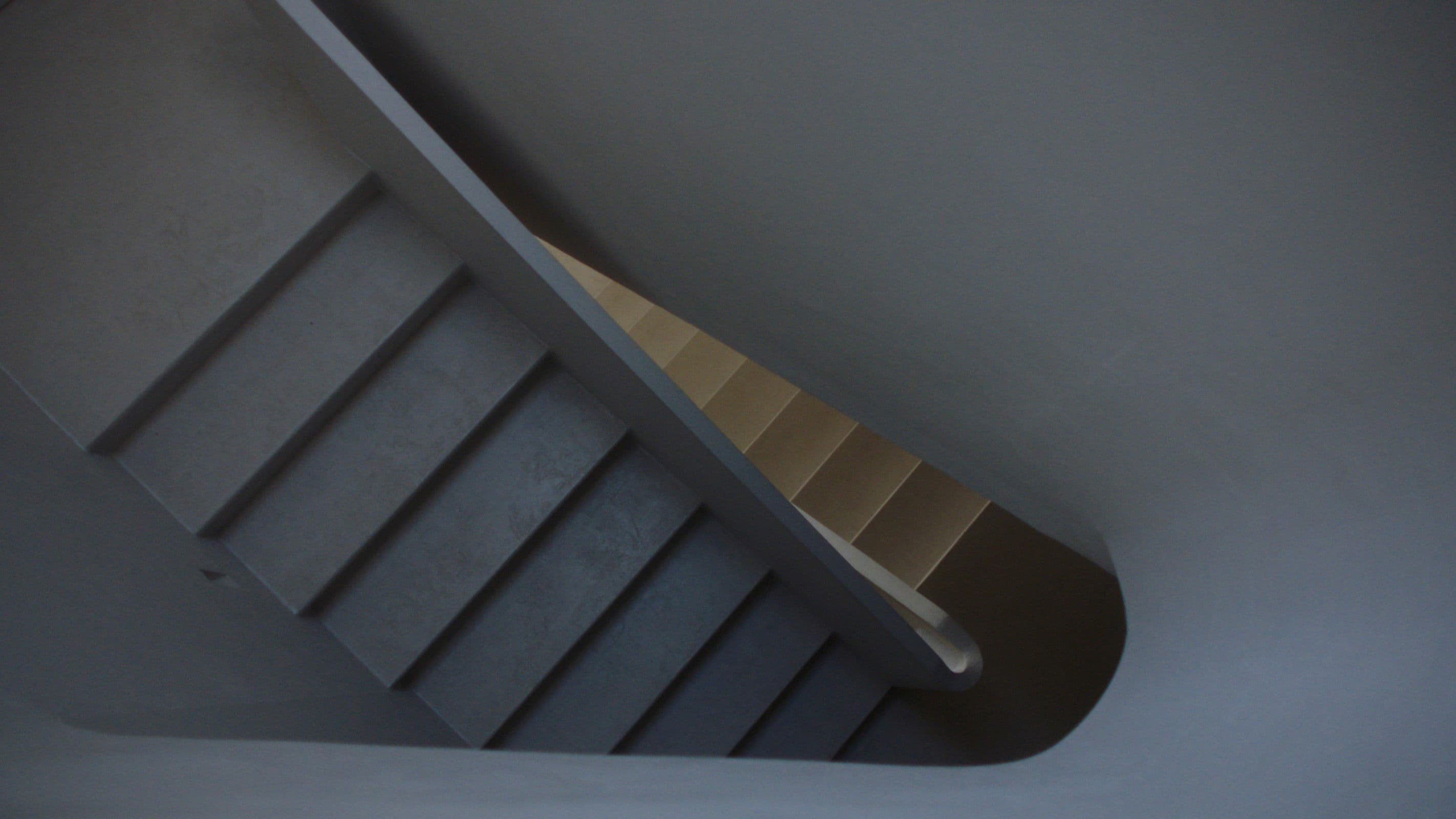 Poster backdrop for Le Singe Bleu