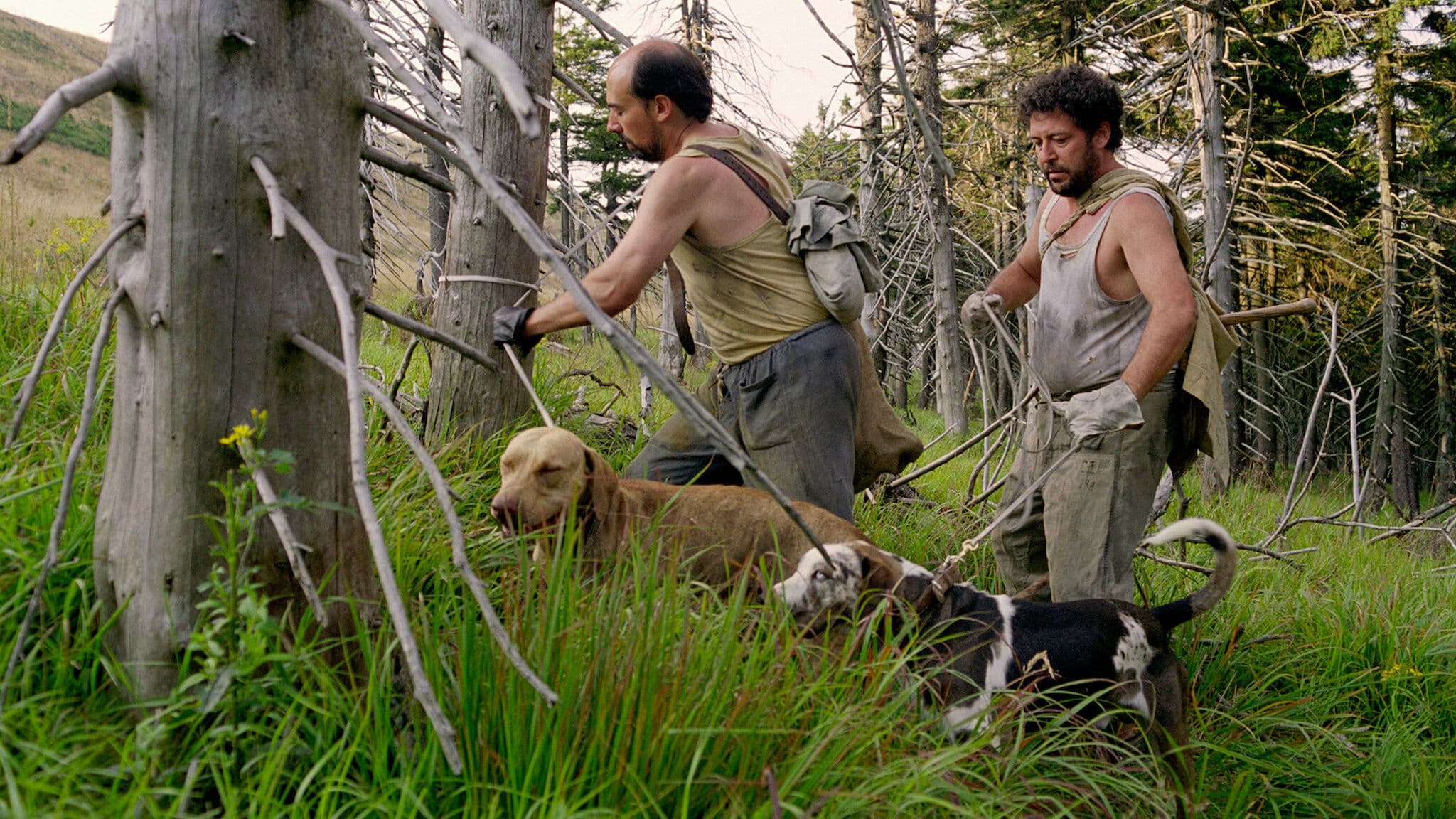 Poster backdrop for Vaterland: A Hunting Logbook
