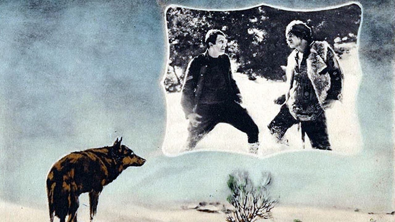 Poster backdrop for The Man from Hell's River