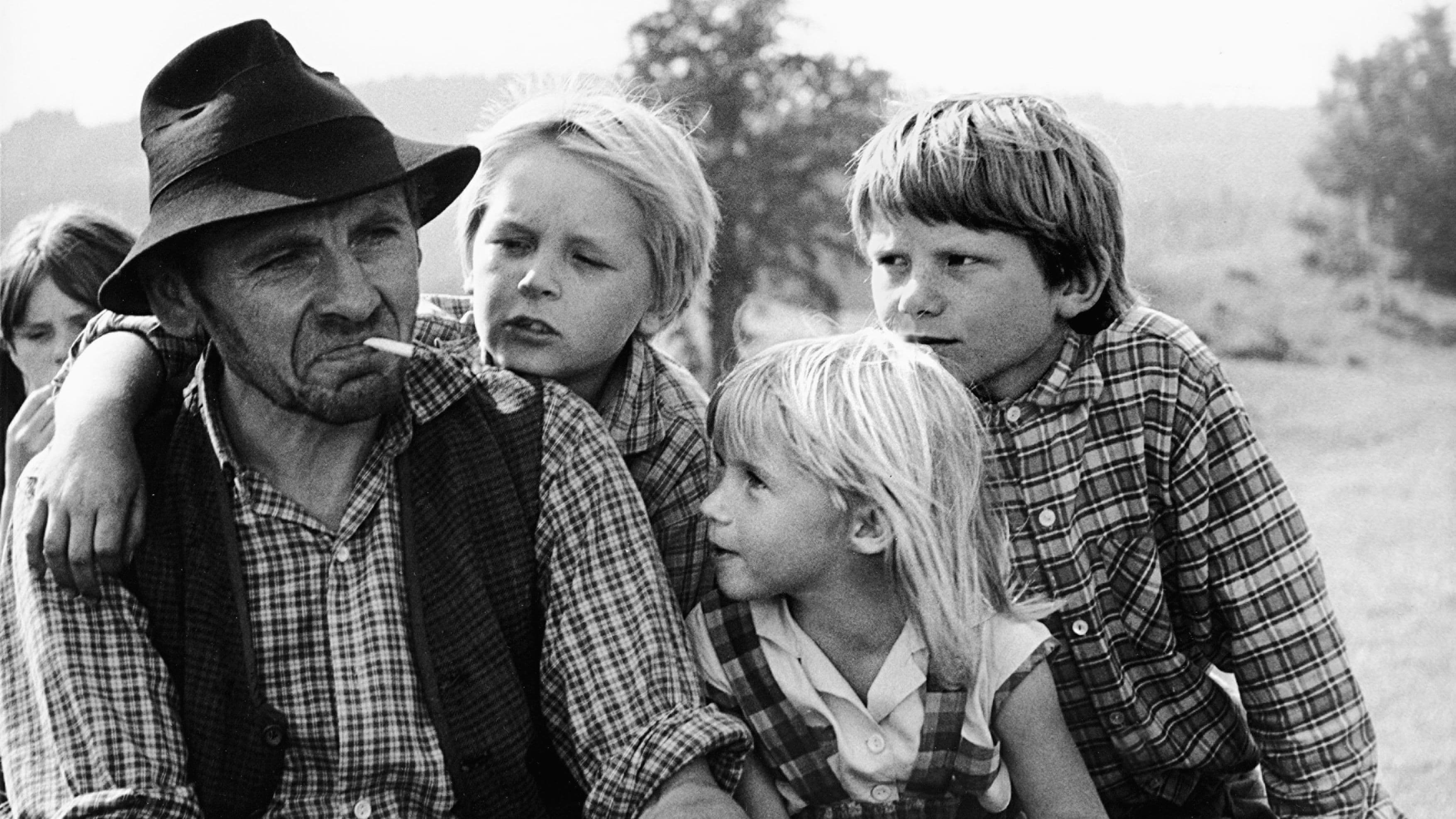 Poster backdrop for Toni, You're Crazy