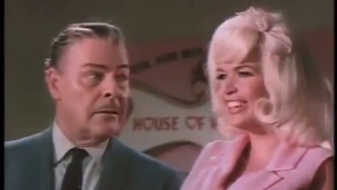 Poster backdrop for The Fat Spy