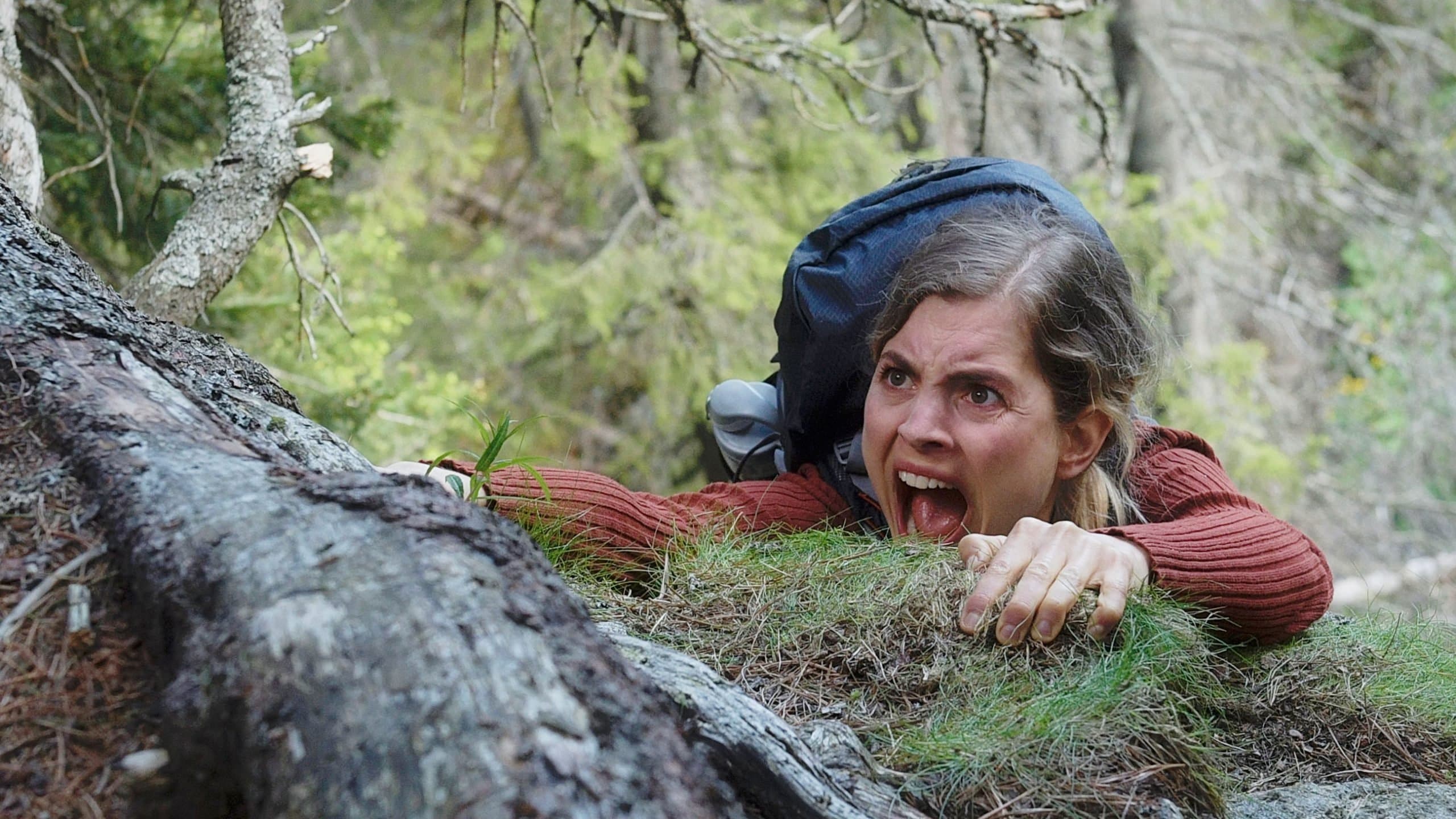 Poster backdrop for Magic Mountains