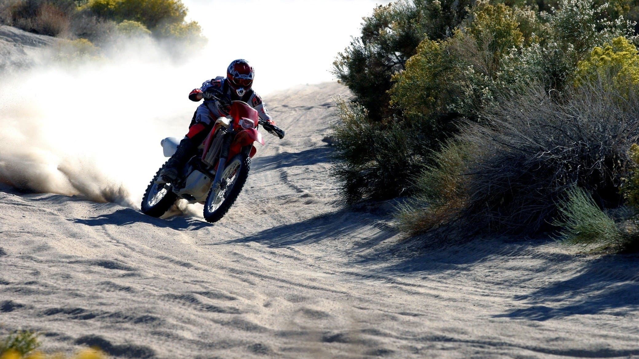 Poster backdrop for Dust to Glory