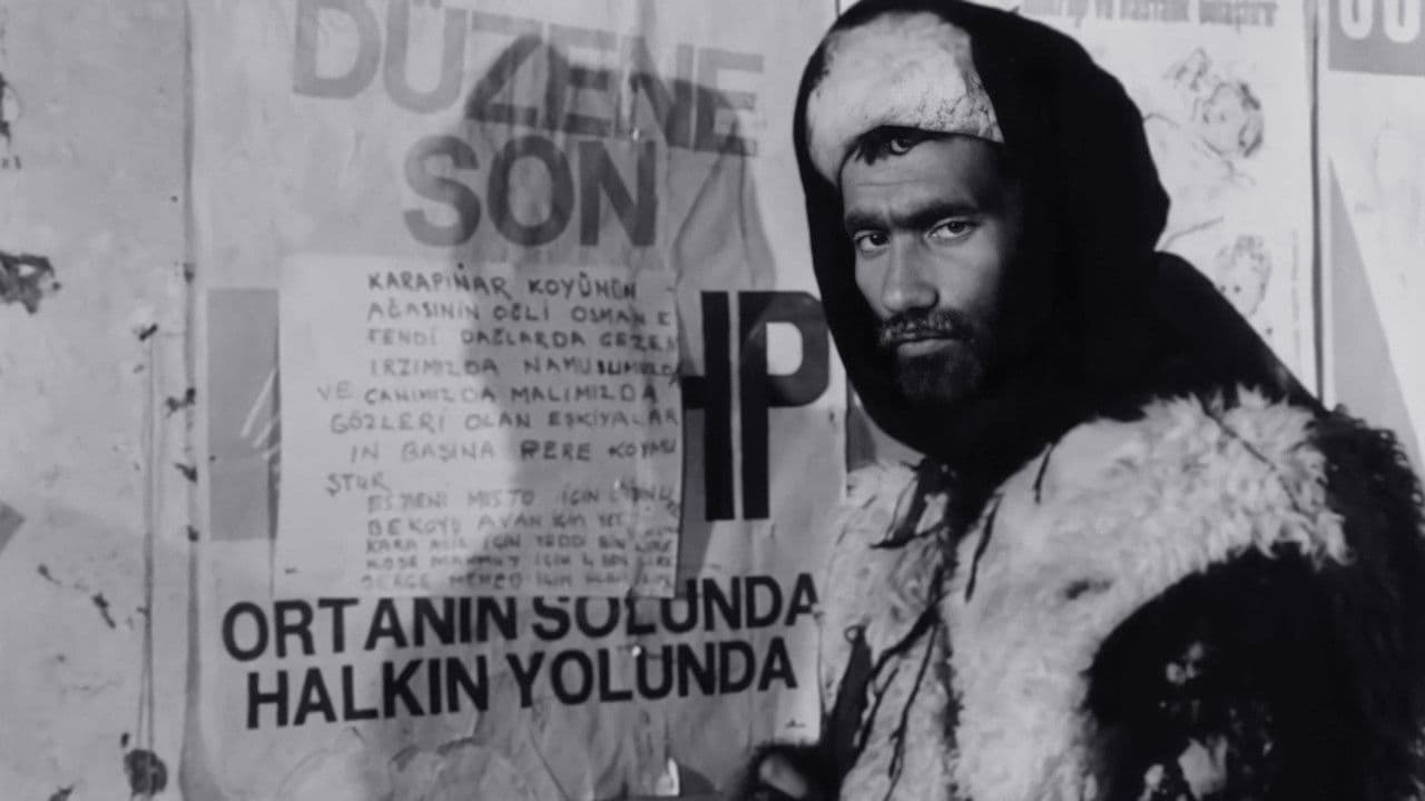 Poster backdrop for The Hungry Wolves