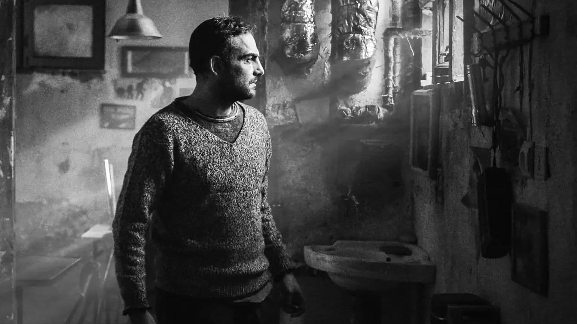 Poster backdrop for The Bora