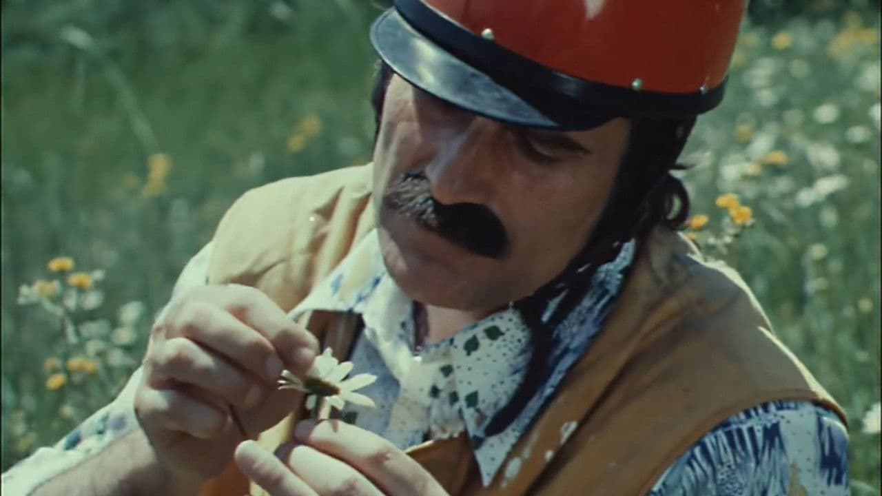 Poster backdrop for Butterfly