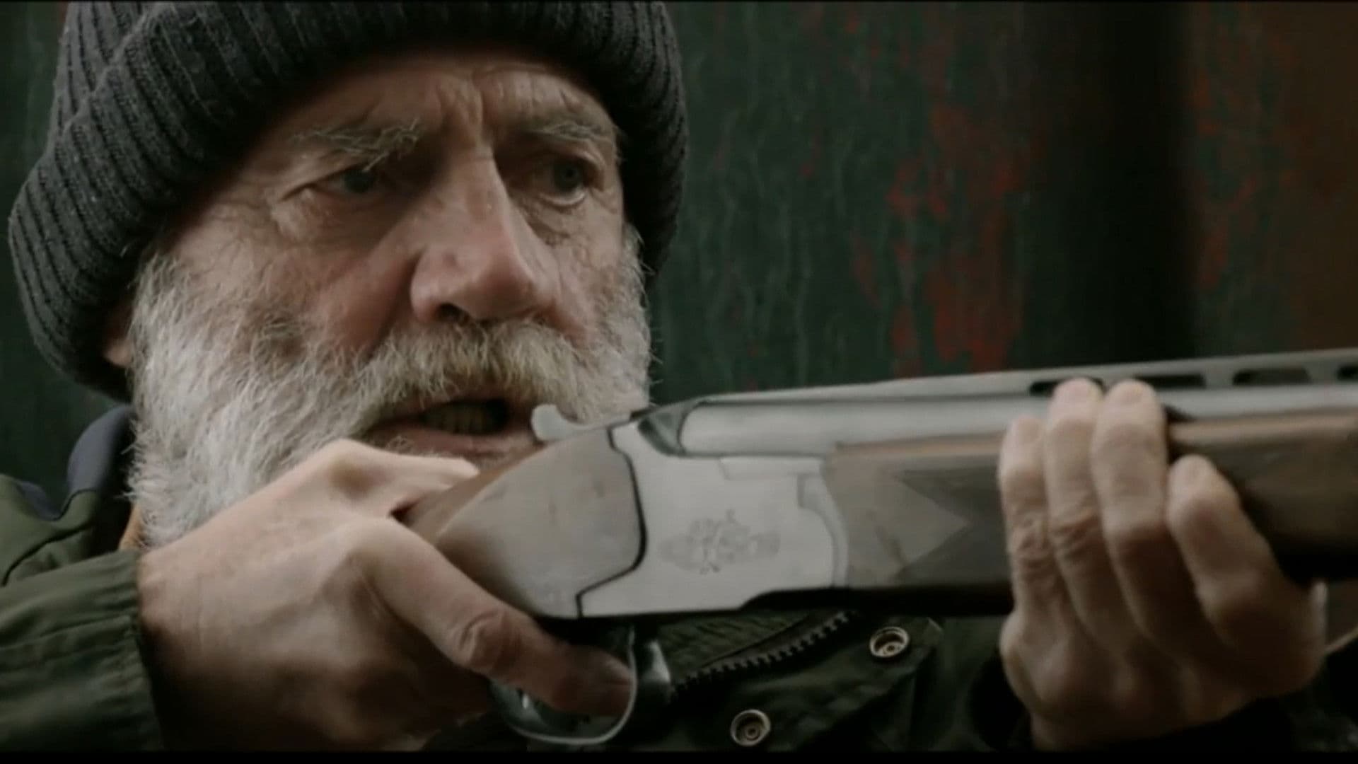 Poster backdrop for The Witness