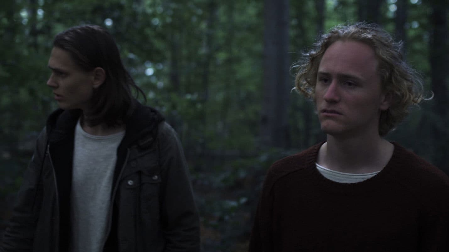 Poster backdrop for Lighter