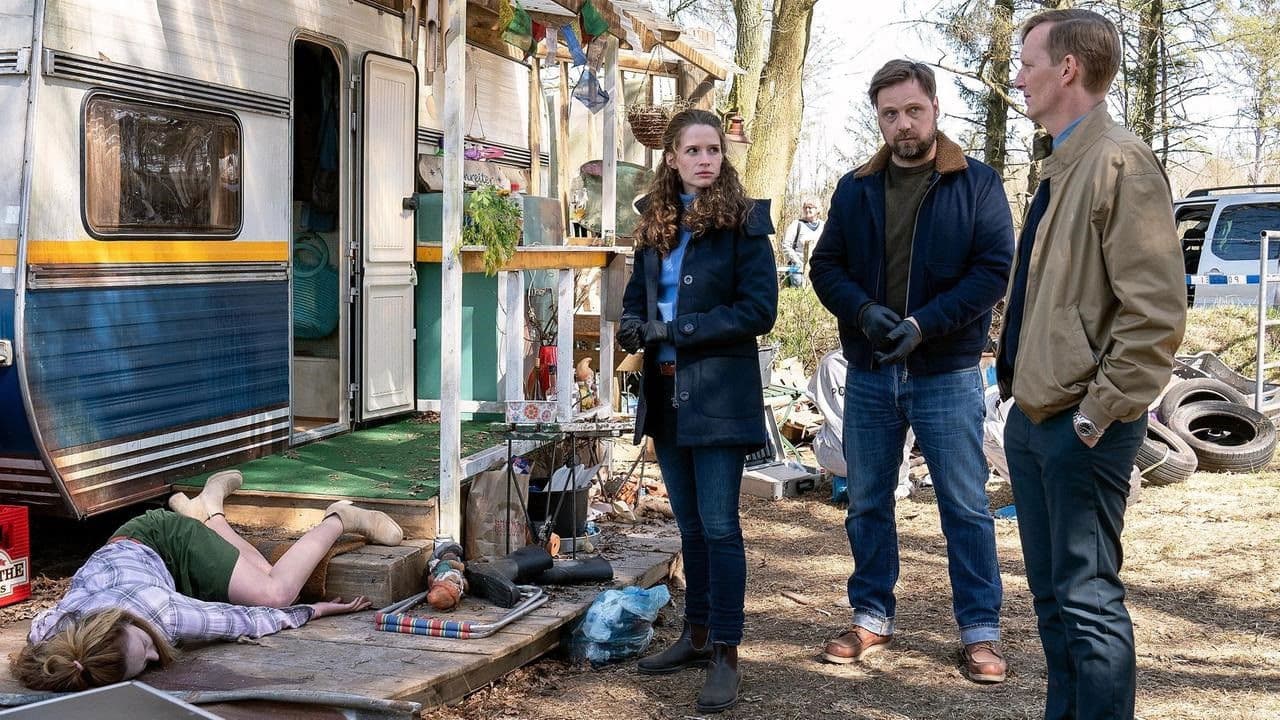 Poster backdrop for Die Toten am Meer - Der Wikinger