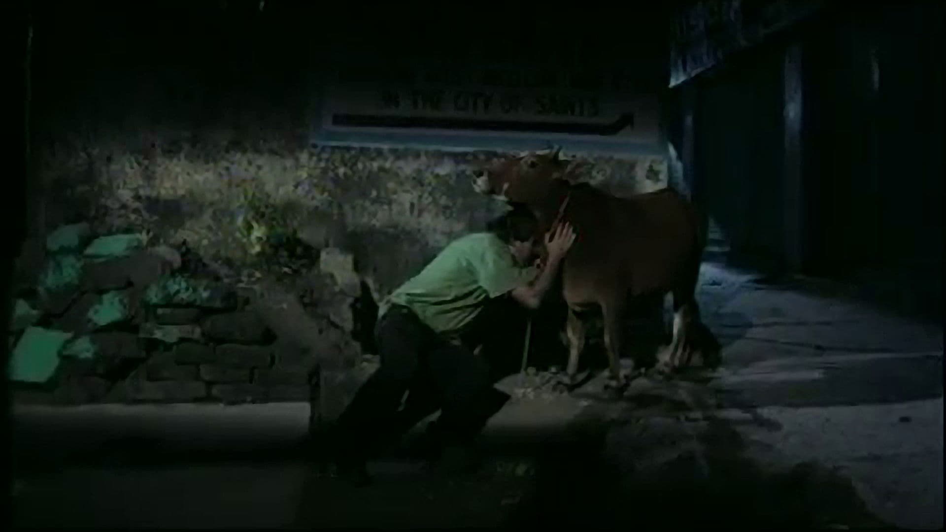 Poster backdrop for Letters from Rishikesh