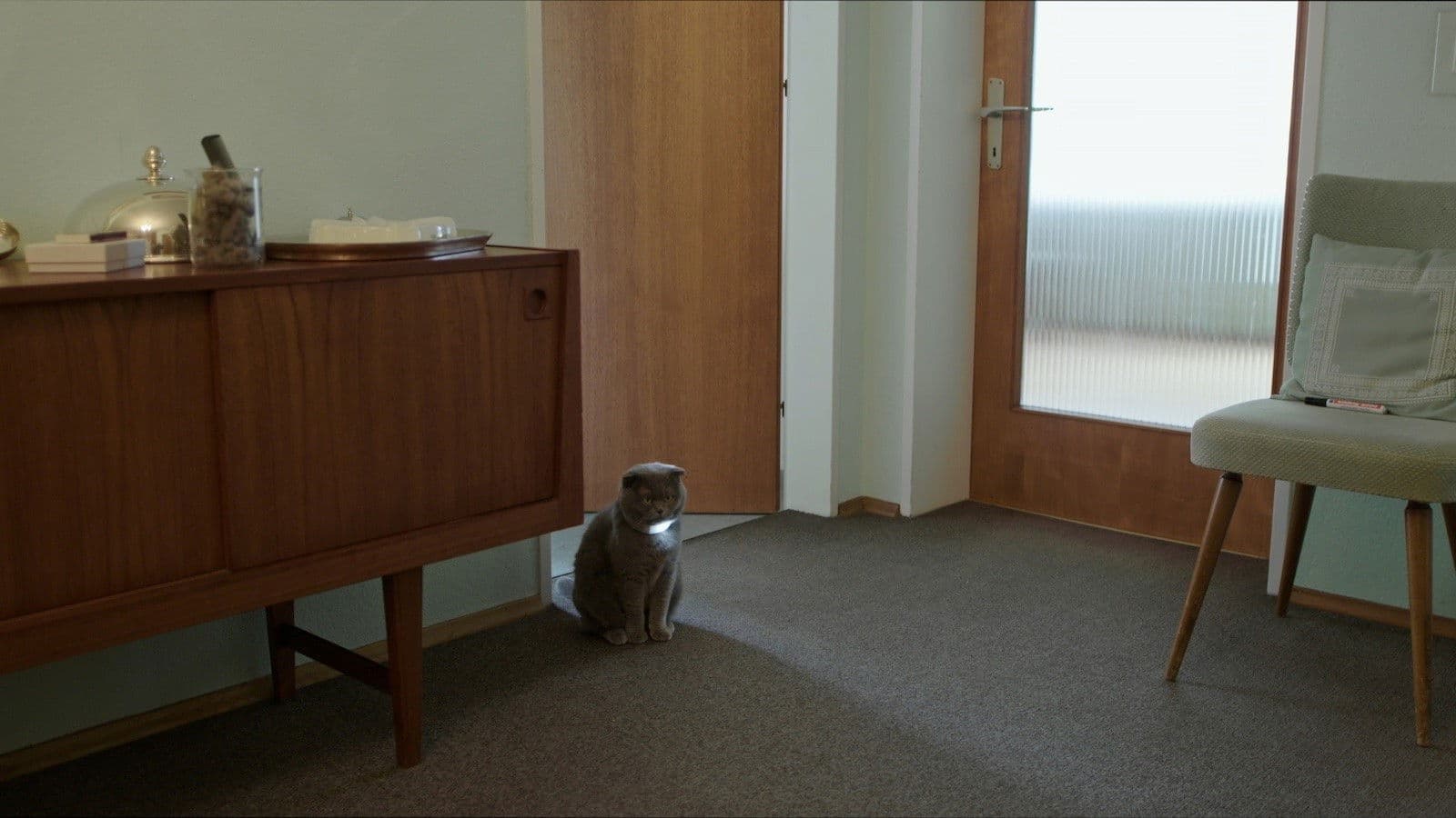 Poster backdrop for All Cats Are Grey in the Dark