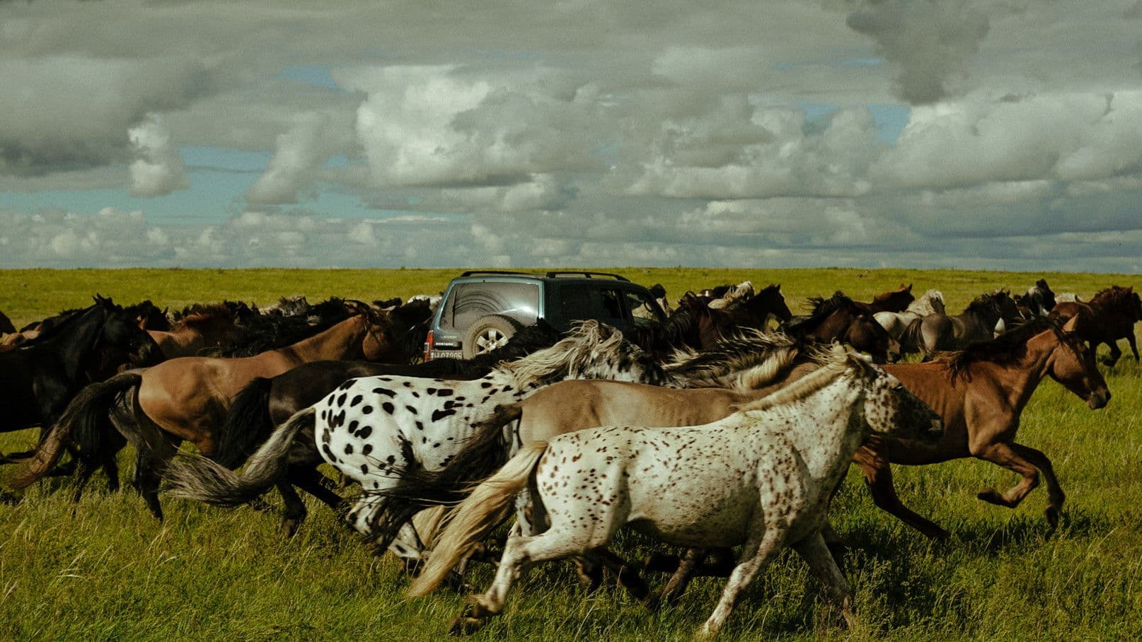Poster backdrop for Striding Into the Wind