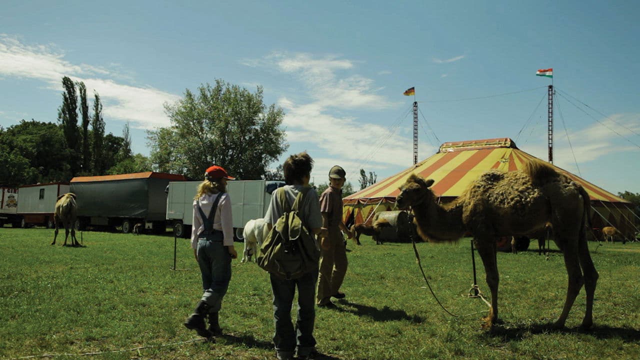 Poster backdrop for In the Name of Sherlock Holmes