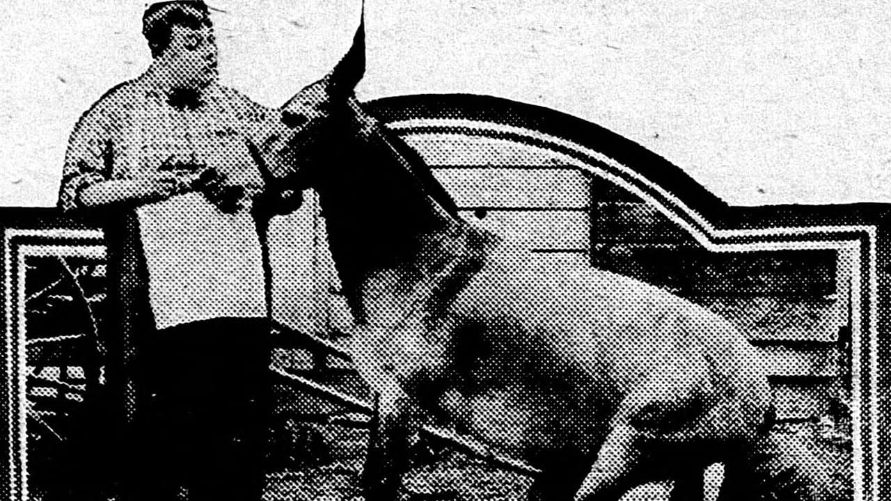 Poster backdrop for His Wedding Night