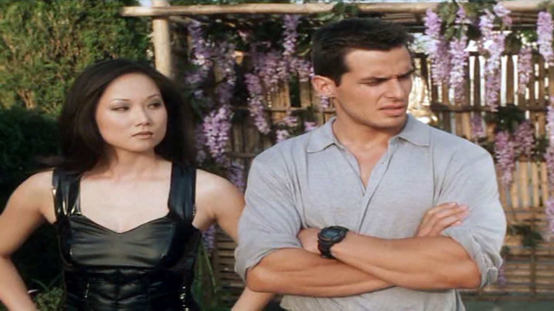 Poster backdrop for The Chaos Factor