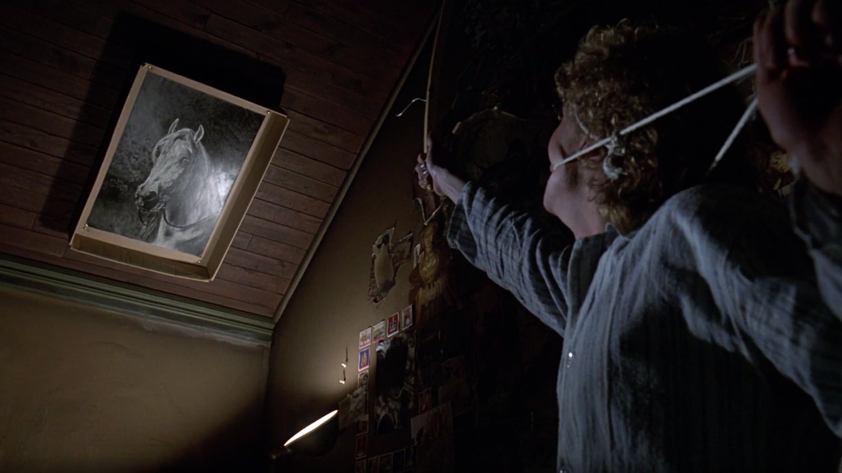 Poster backdrop for Equus